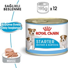 Royal Canin 195Gr Start Mousse 24Adet  Yaş Köpek Maması