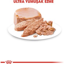 Royal Canin 195Gr Start Mousse 24Adet  Yaş Köpek Maması