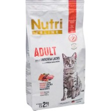 Nutri Feline Adult Somon Etli 2kg  Yetişkin Kedi Maması