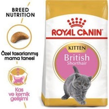 Royal Canin 2Kg BRITISH SHORTHAIR KITTEN Yavru Kedi Maması