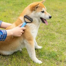 Senlinli Kedi Köpek Tüy Alma Tarağı(Yurt Dışından)