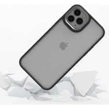 Kny Apple Iphone 11 Kılıf Silikon Kenarlı Arkası Şeffa Renkli Flora Sert Kapak