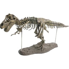 Jurnish 4d Dinozor Iskelet Modeli Bloklar Kitler Erkekler Için Hediye Erkek Kız Kızlar 70X12X22CM