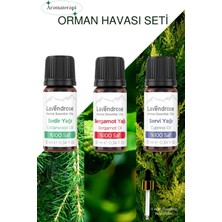 Lavendrose Orman Havası Uçucu Yağ Aromaterapi Set %100 Saf Bergamot Yağ Sedir Yağ Servi Yağ