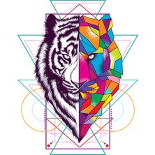 Hyl 30X40 Renkli Kaplan Tablo