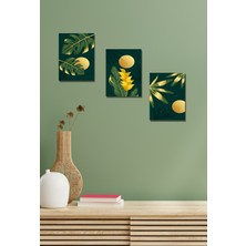 Hyl Botanik 3'lü Tablo Seti