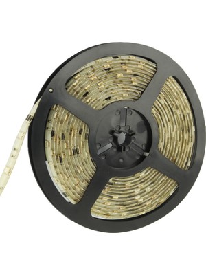 Zsykd Epoksi Su Geçirmez Halat Işığı, Uzunluk: 5m, Mavi Işık 5050 Smd Led, 30 Led/m, Dc 12V (Yurt Dışından)