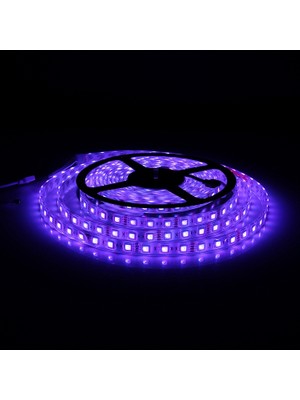 Zsykd 5m Smd 5050 Sulama Halat Işığı, 300 Leds IP68 Su Geçirmez, Dc 12V (Renkli Işık) (Yurt Dışından)