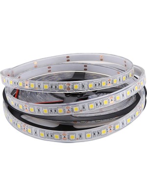 Zsykd 5m Smd 5050 Sulama Halat Işığı, 300 Leds IP68 Su Geçirmez, Dc 12V (Sıcak Beyaz) (Yurt Dışından)