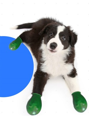 Alphadog Yeşil  Köpek Galoşu 6 Adet