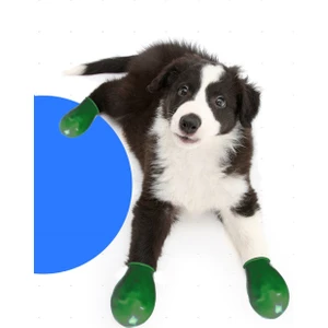 Yeşil  Köpek Galoşu 6 Adet