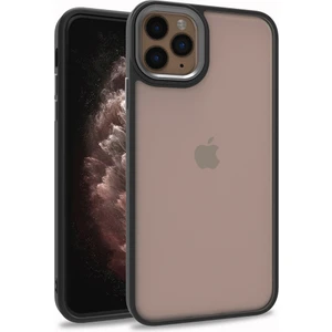 Kny Apple Iphone 11 Pro Max Kılıf Silikon Kenarlı Arkası Şeffa Renkli Flora Sert Kapak