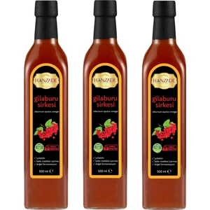 Hanzade Bitkisel Gilaburu Sirkesi Doğal Fermantasyon İçilebilir Katkısız Cam Şişe 3 x 500 ml