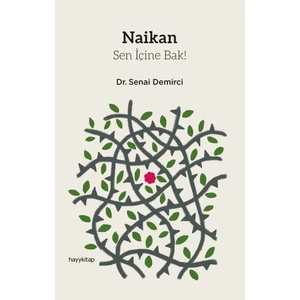 Naikan - Senai Demirci