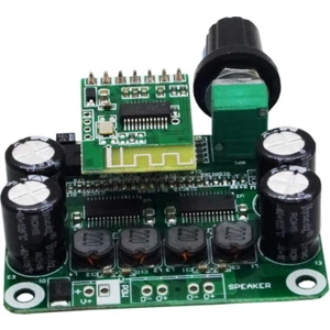 Sanec TPA3110 2X15W Bluetooth 4.2 Dijital Stereo Audio Amfi Modülü