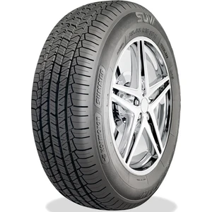 225/55 R17 101V Xl Snow Oto Kış Lastiği (Üretim Yılı: 2024)