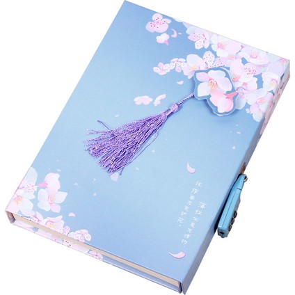 Şifreli Kilit Defteri (Yurt Dışından)