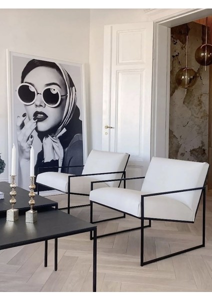 Metal Berjer Ev Koltuğu Teklikoltuk Ofis Cafe modelleri