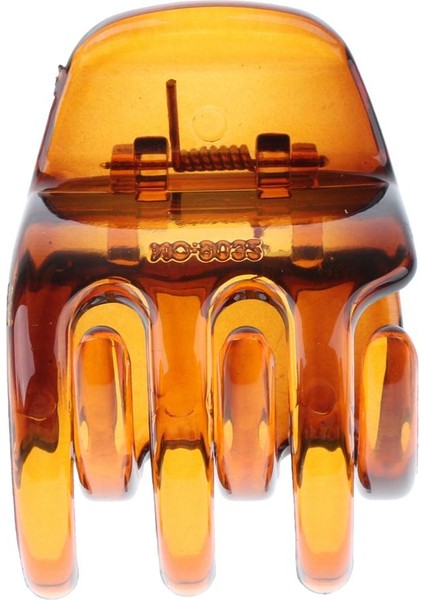 Saç Aksesuarı (Yurt Dışından) fiyatları