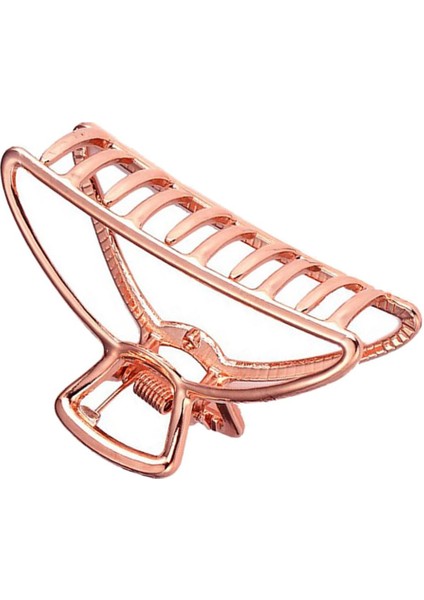 Saç Aksesuarı (Yurt Dışından) fırsatları