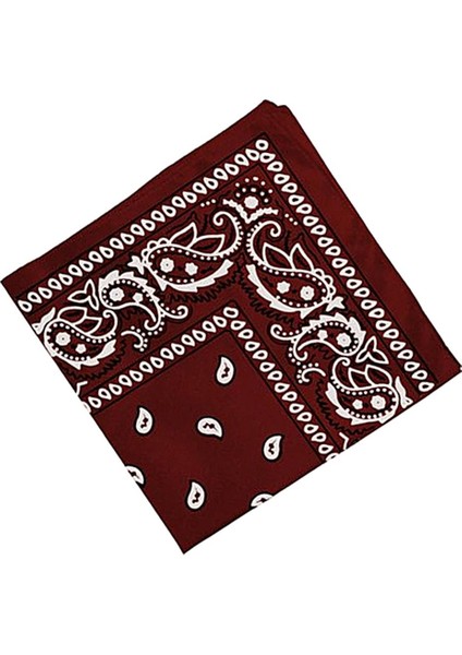 2pcs Erkekler Paisley Baskı Kovboy Bandana Eşarp Kafa Şarfı Bilgisayar(Yurt Dışından)