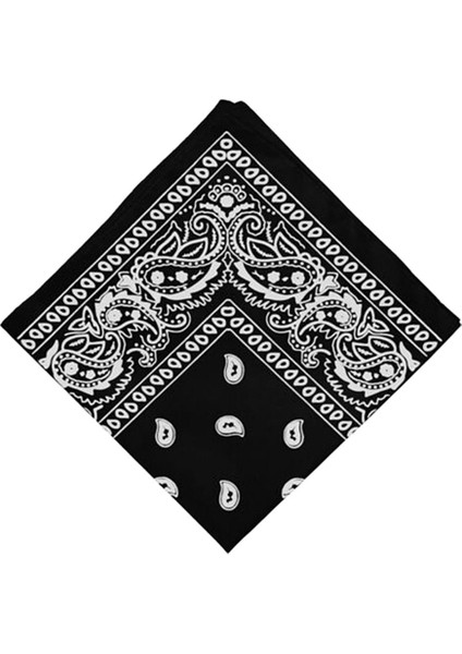 2pcs Erkekler Paisley Baskı Kovboy Bandana Eşarp Kafa Şarfı Bilgisayar(Yurt Dışından)