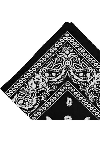 2pcs Erkekler Paisley Baskı Kovboy Bandana Eşarp Kafa Şarfı Bilgisayar(Yurt Dışından)