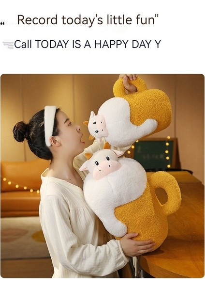 Peluş Oyuncak (Yurt Dışından)