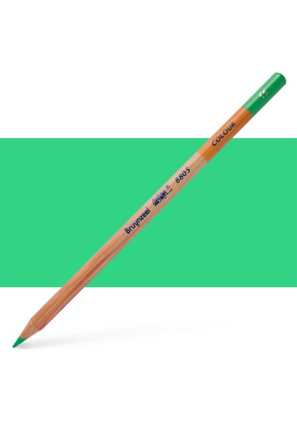 : Design Kuru & Sulu Boya Kalem Yedeği : Green