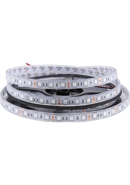 5m Smd 5050 Sulama Halat Işığı, 300 Leds IP68 Su Geçirmez, Dc 12V (Mavi Işık) (Yurt Dışından)