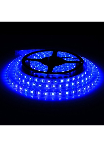 5m Smd 5050 Sulama Halat Işığı, 300 Leds IP68 Su Geçirmez, Dc 12V (Mavi Işık) (Yurt Dışından)