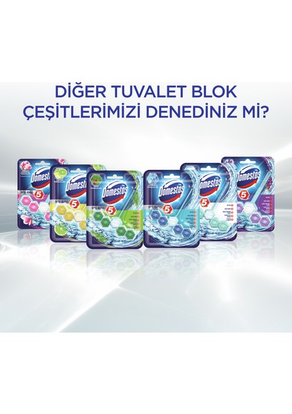 5'li Güç Çamaşır Suyu Katkılı Tuvalet Blok