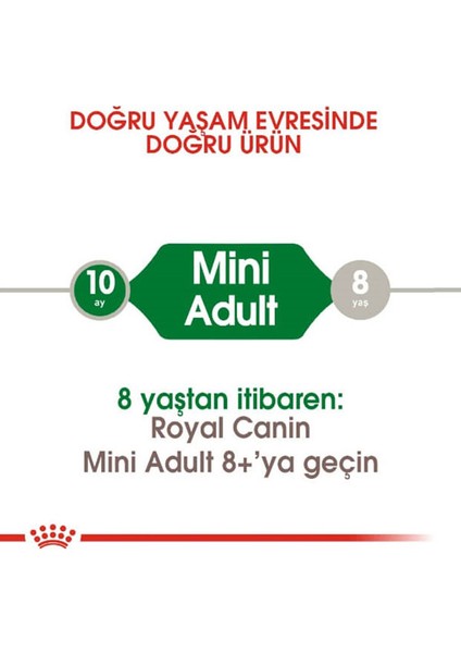 8kg Mini Adult Yetişkin Köpek Maması