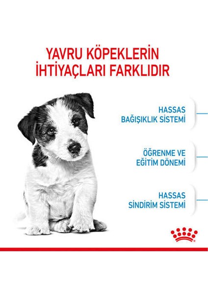 2kg Mini Puppy Yavru Köpek Maması fırsatları