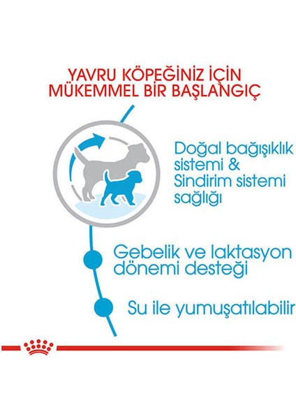 3kg Mini Starter MotherBabydog Köpek Maması