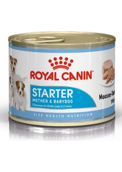 Royal Canin 195Gr Start Mousse 24Adet  Yaş Köpek Maması