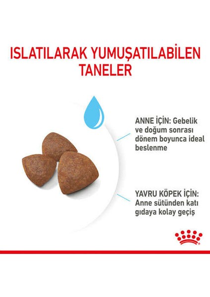 4kg Medium Starter Köpek Maması