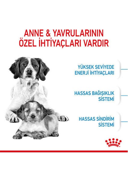 4kg Medium Starter Köpek Maması