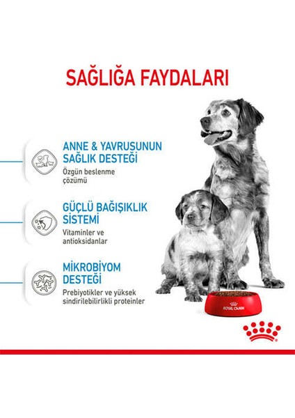 4kg Medium Starter Köpek Maması