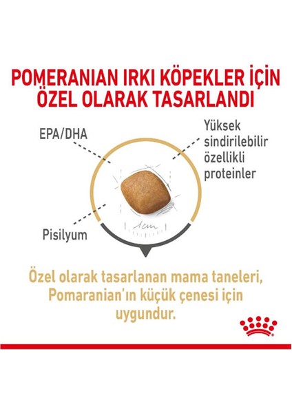 3kg Pomeranian Adult Yetişkin Köpek Maması modelleri