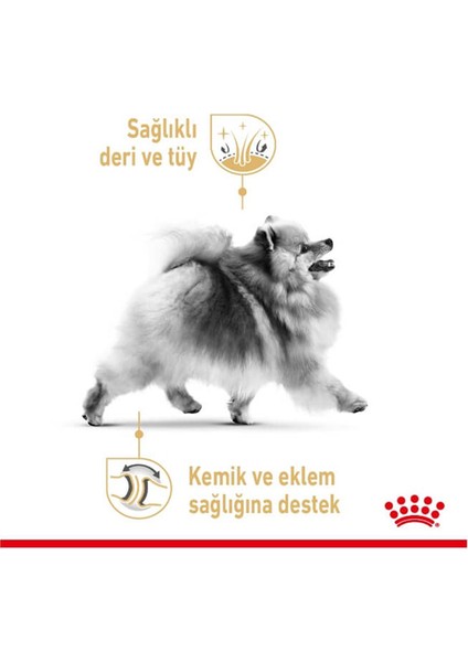 3kg Pomeranian Adult Yetişkin Köpek Maması fırsatları