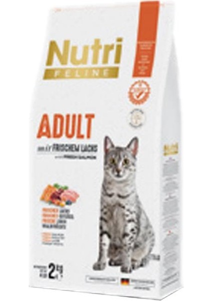 Nutri Feline Adult Somon Etli 2kg Yetişkin Kedi Maması