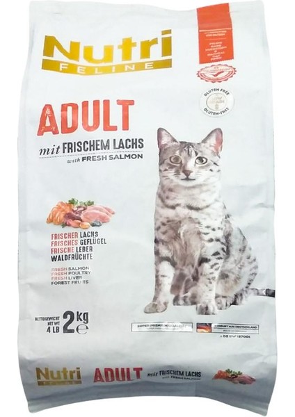 Nutri Feline Adult Somon Etli 2kg Yetişkin Kedi Maması