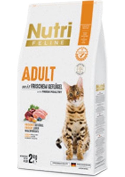 Nutri Feline Adult Tavuk Etli 2kg Yetişkin Kedi Maması Kürek li