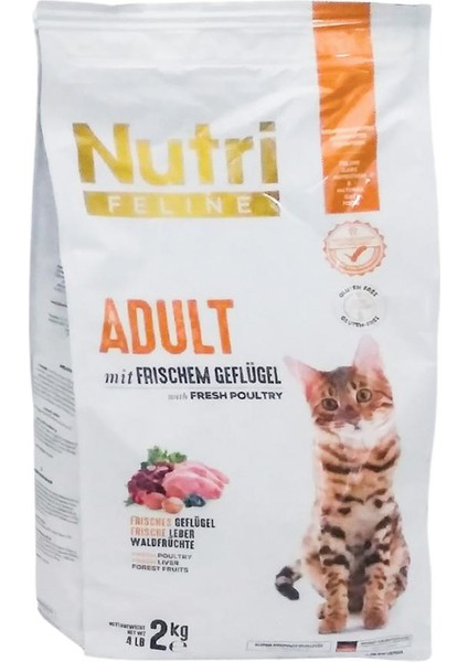 Nutri Feline Adult Tavuk Etli 2kg Yetişkin Kedi Maması Kürek li