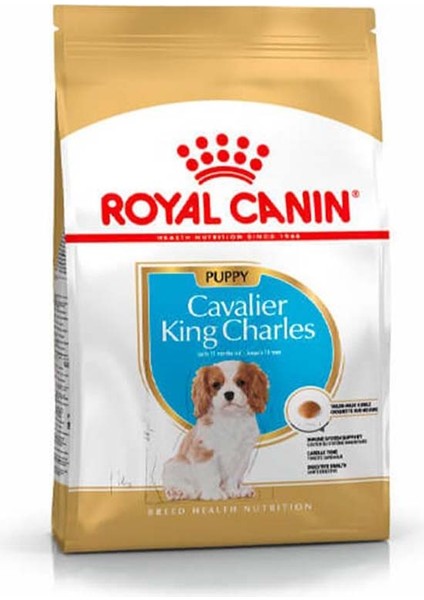 1.5Kg Cavalier King Charles Puppy Yavru Köpek Maması