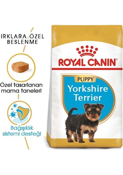1.5kg Yorkshire Terrier Puppy Yavru Köpek Maması