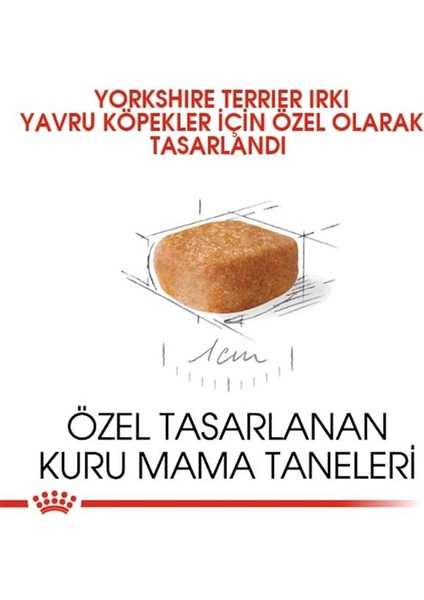 1.5kg Yorkshire Terrier Puppy Yavru Köpek Maması