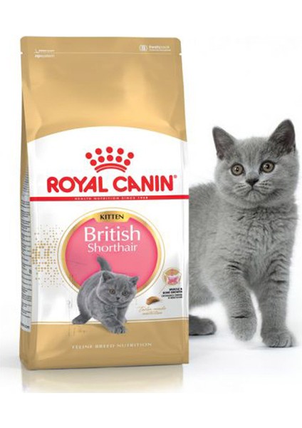 2Kg BRITISH SHORTHAIR KITTEN Yavru Kedi Maması