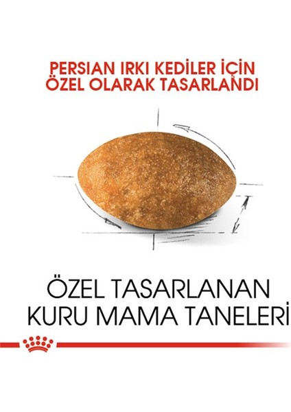 Royal Canin 2Kg PERSIAN Adult Yetişkin Kedi Maması